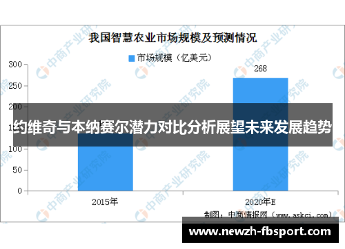 约维奇与本纳赛尔潜力对比分析展望未来发展趋势
