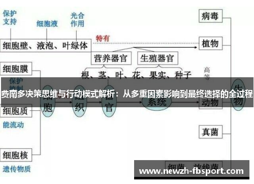 费南多决策思维与行动模式解析：从多重因素影响到最终选择的全过程